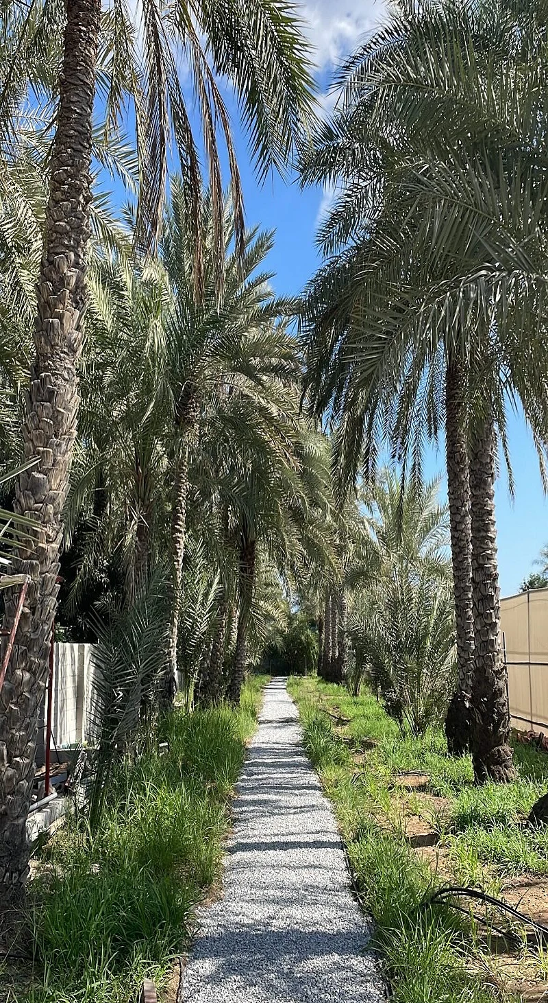Premium Fujairah Farm With Horses
