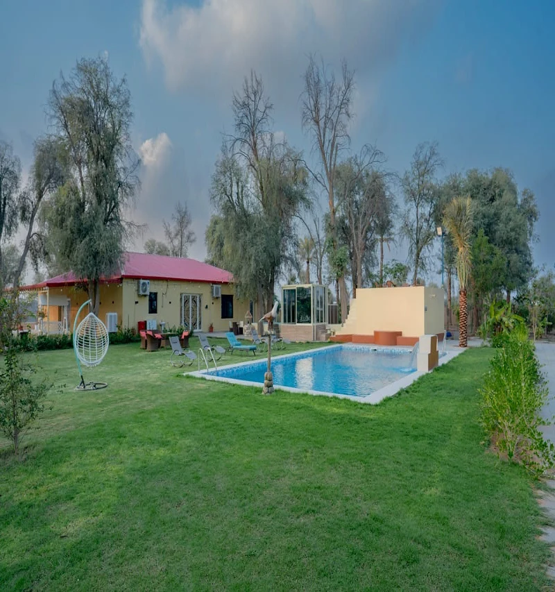 Free Horse Riding And  Luxurious Rooms