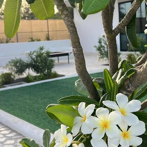 Peaceful Farmhouse With Family Activities — Umm Al Quwain — Photo 8