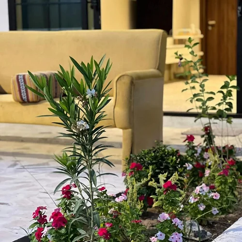 Peaceful Farmhouse With Family Activities — Umm Al Quwain — Photo 7
