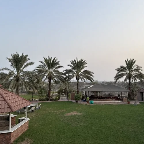Beautiful Palm View With Pool & Garden — Photo 14
