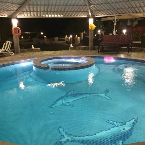 Beautiful Palm View With Pool & Garden — Photo 33