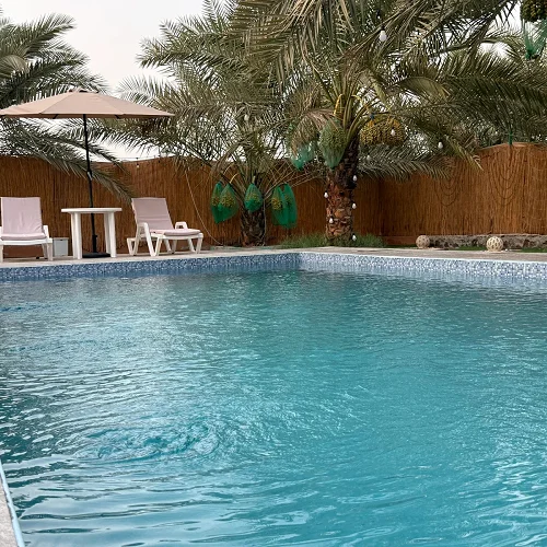 Luxury Farmhouse With Football Ground — Dubai — Photo 12