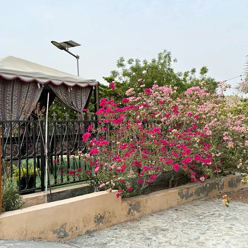 Luxury Farmhouse With Football Ground — Dubai — Photo 9