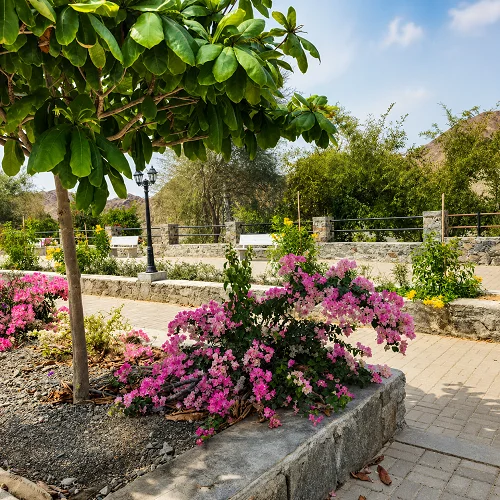 Ultimate Family Adventure Farm — 5-bedroom in Dubai, UAE